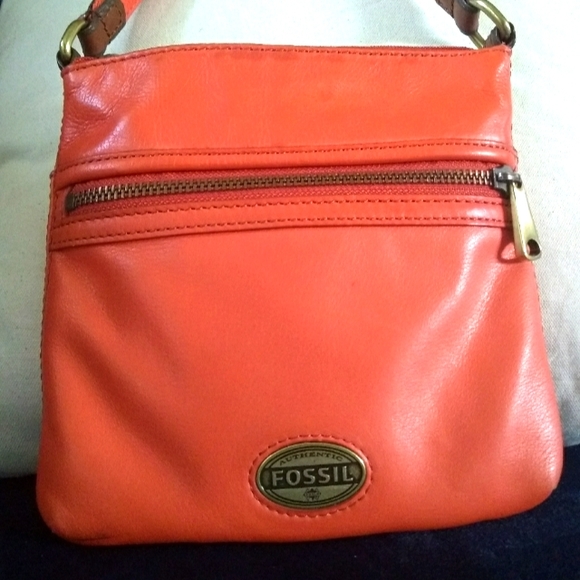 The flawed fossil purse - Picture 1 of 12